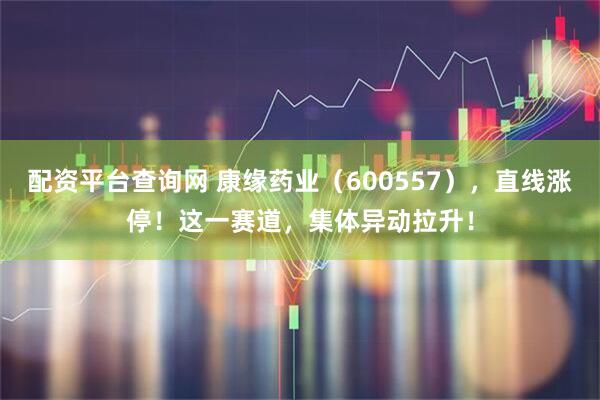 配资平台查询网 康缘药业（600557），直线涨停！这一赛道，集体异动拉升！