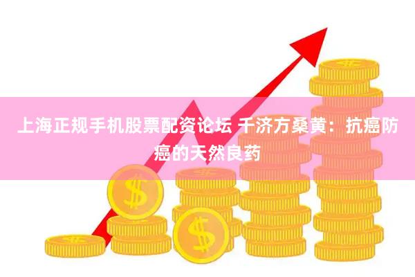 上海正规手机股票配资论坛 千济方桑黄：抗癌防癌的天然良药